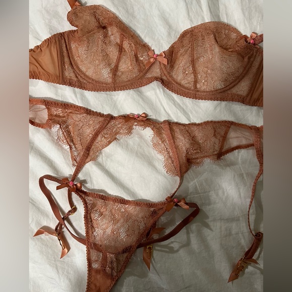 Complete Praline Lorna Lace Set Bra (36E) Suspender (NWT sz 4) Thong (sz 4) - Picture 2 of 7